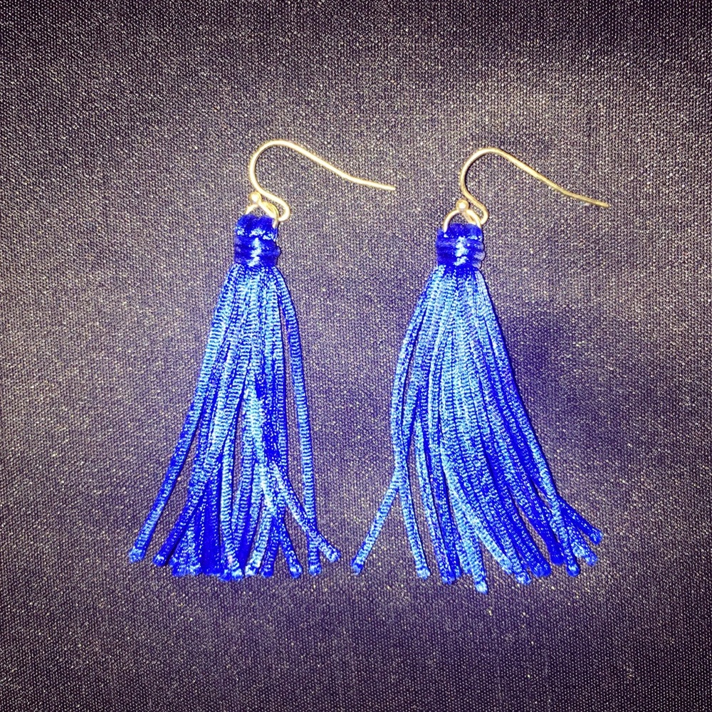 NWOT Blue earrings